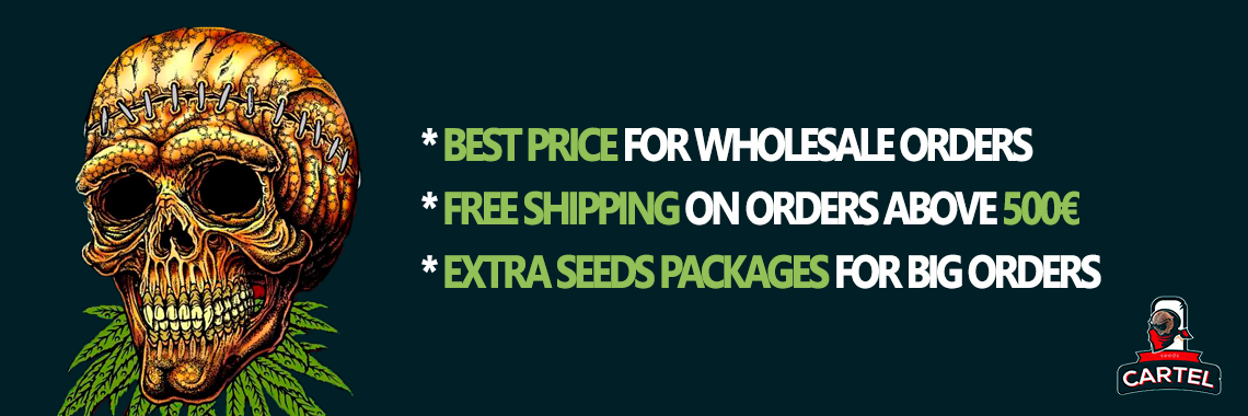Best terms for wholesale orders